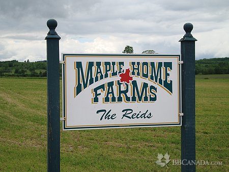 Maple Home Farms Guest House